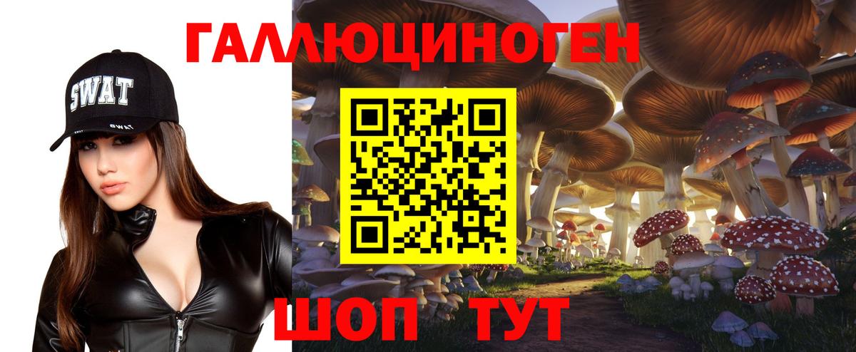 Барабинск  Галлюциногенные грибы ЛСД  Вход с VPN 